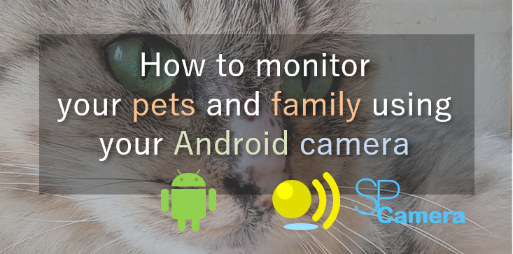 How to monitor your pets and family at home from anywhere using your Android smartphone camera