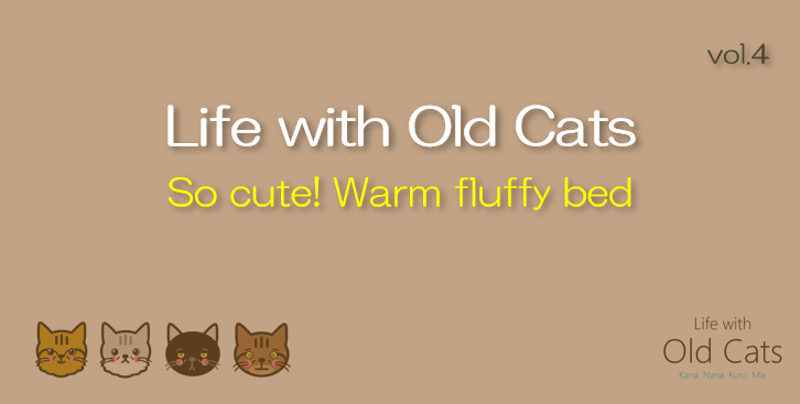 So cute! Warm fluffy bed [Life with Old Cats : vol.4]