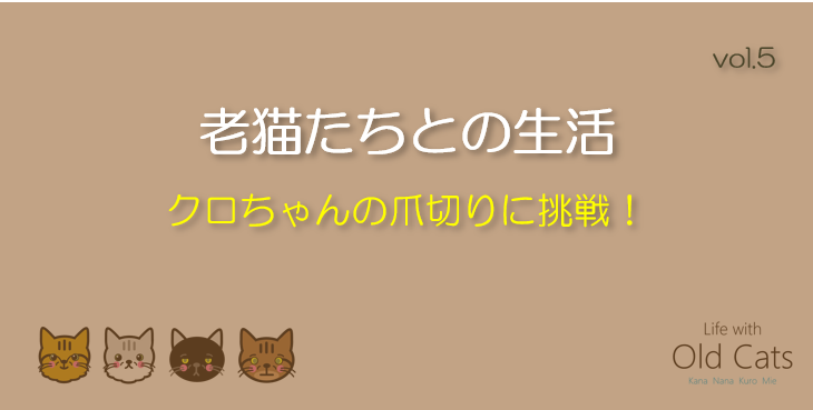クロちゃんの爪切りに挑戦！ [老猫たちとの生活 Life with Old Cats : vol.5]