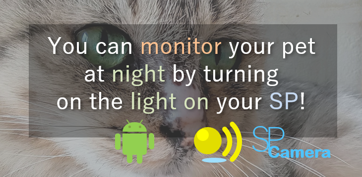 You can monitor your pet at night by turning on the light on your SP!