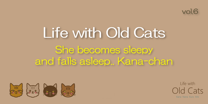 She becomes sleepy and falls asleep.. Kana-chan [Life with Old Cats : vol.6]