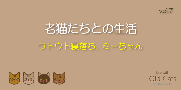 ウトウト寝落ち.. ミーちゃん [老猫たちとの生活 Life with Old Cats : vol.7]