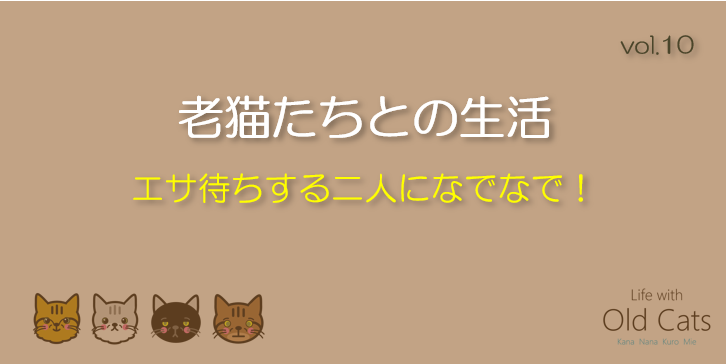 エサ待ちする二人になでなで！ [老猫たちとの生活 Life with Old Cats : vol.10]