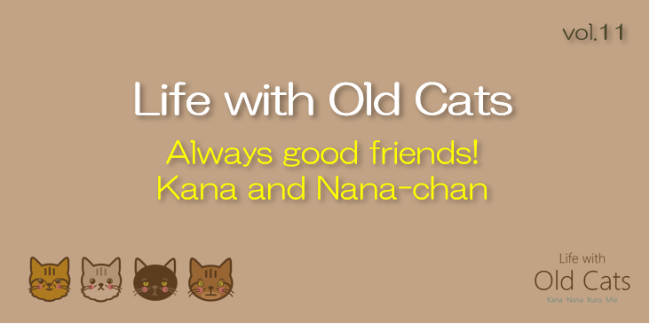 Always good friends! Kana and Nana-chan [Life with Old Cats : vol.11]