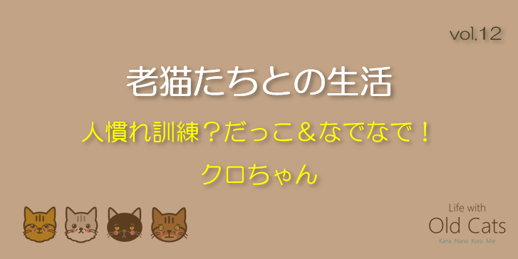 人慣れ訓練？だっこ＆なでなで！クロちゃん [老猫たちとの生活 Life with Old Cats : vol.12]