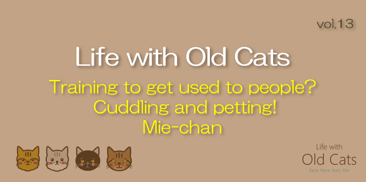 Training to get used to people? Cuddling and petting! Mie-chan [Life with Old Cats : vol.13]