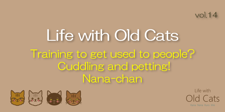 Training to get used to people? Cuddling and petting! Nana-chan [Life with Old Cats : vol.14]