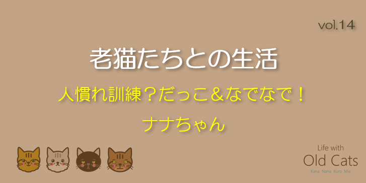 人慣れ訓練？だっこ＆なでなで！ナナちゃん [老猫たちとの生活 Life with Old Cats : vol.14]