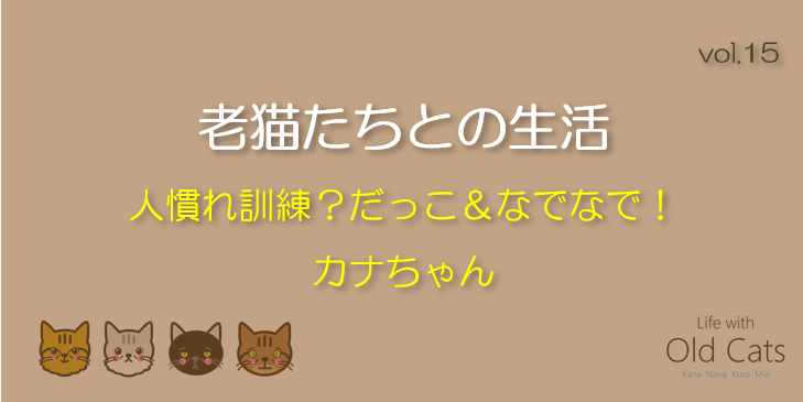 人慣れ訓練？だっこ＆なでなで！カナちゃん [老猫たちとの生活 Life with Old Cats : vol.15]