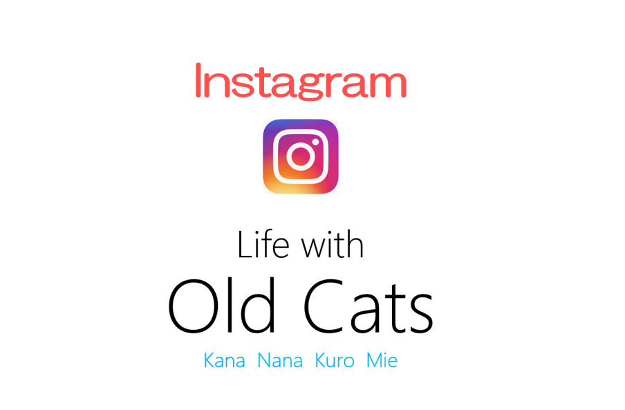 instagram of Life with Old cats